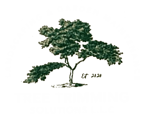 Tree Cutting Notches l Tree Removal, Trimming & Cutting Service l Bellevue,  Bothell & Snohomish